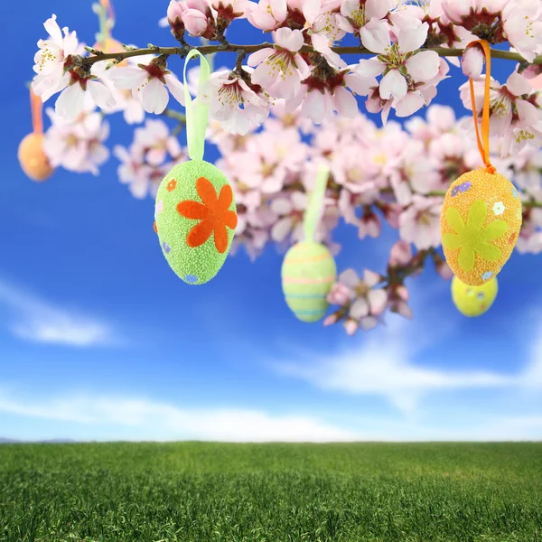 Uova di Pasqua appese al mandorlo — Foto Stock