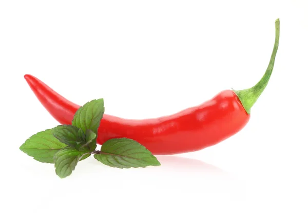 Red hot chili paprika, a menta levelek a elszigetelt fehér háttér — Stock Fotó