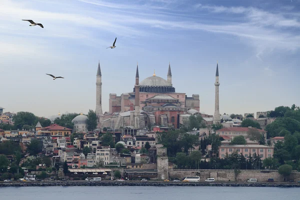 Moschea di hagia sophia in Istanbul, tacchino — Foto Stock