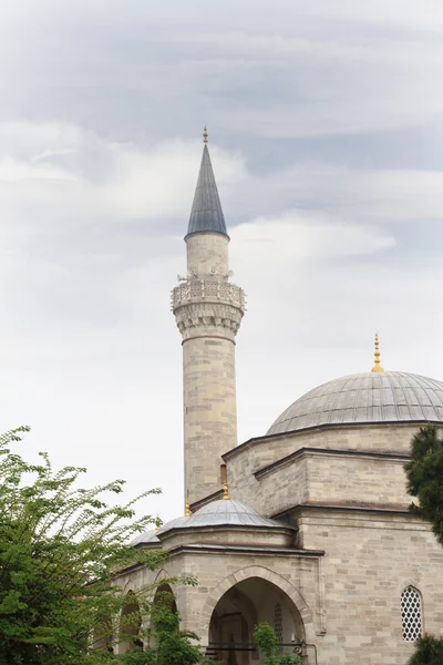 La mosquée bleue à Istanbul, dinde — Photo