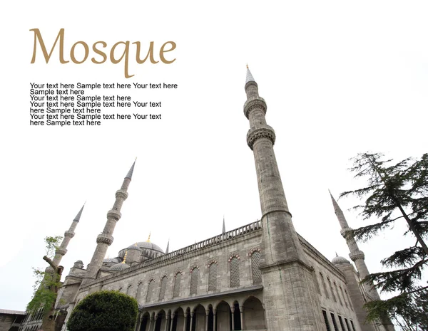 La mosquée bleue à Istanbul, dinde — Photo