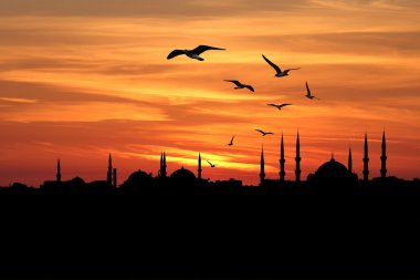 istanbul şehir silueti karşı günbatımı