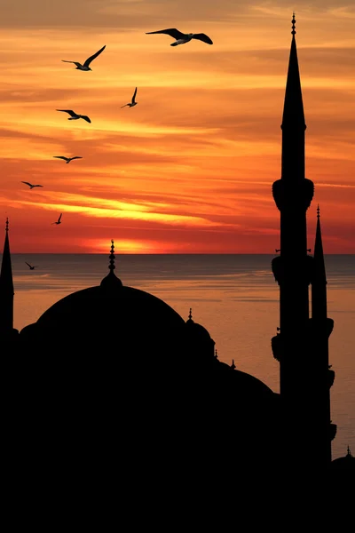 Silhouette mosquée bleue contre le coucher du soleil. Istanbul, Turquie — Photo