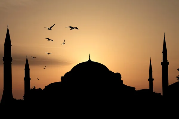 Silhouette mosquée bleue contre le coucher du soleil. Istanbul, Turquie — Photo