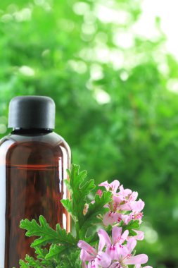 geranium önemli petrol şişe
