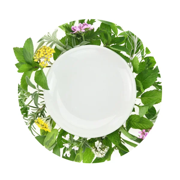 White plate with fresh herbs and spices around it — Zdjęcie stockowe