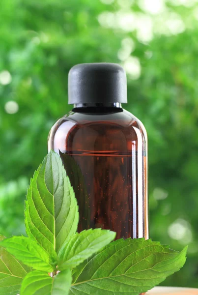 Bottle of Peppermint essential oil — Stock Photo, Image