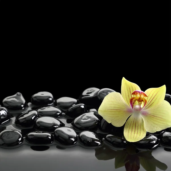 Czarne kamienie zen i orchidea na tle spokojnej wodzie — Zdjęcie stockowe