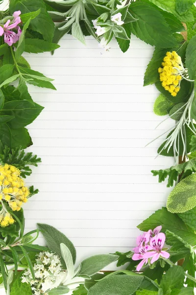 Herbs and spices frame on blank recipe card — Stock Photo, Image