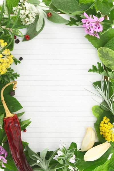 Moldura de ervas e especiarias no cartão de receita em branco — Fotografia de Stock