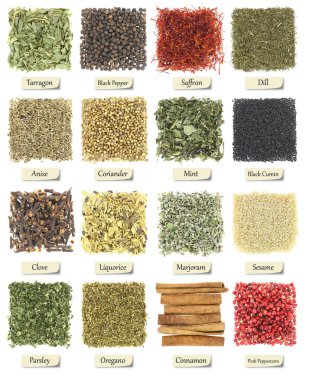 bitki ve baharat üzerine beyaz izole koleksiyonu