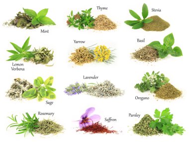 Kuru ve taze aromatik bitkiler topluluğu