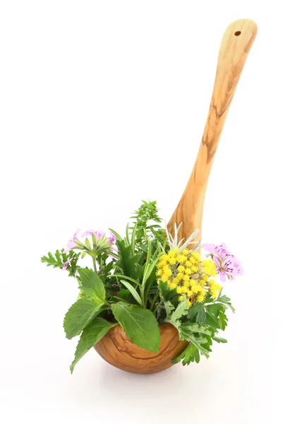 Fresh herbs in wooden spoon — Stock Photo, Image