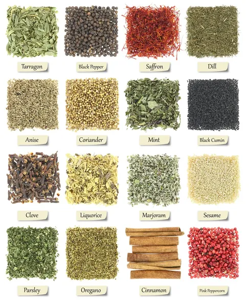 Collection of herbs and spices isolated on white — Stock Photo, Image