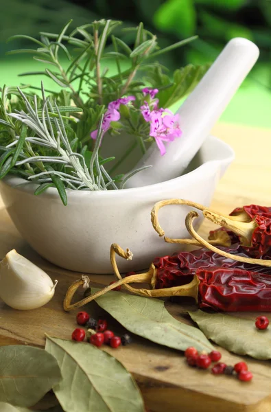 White porcelain mortar and pestle with fresh herbs — Stock Photo, Image