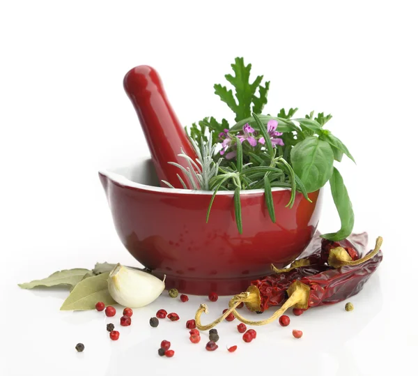 Argamassa de porcelana vermelha e pilão com ervas frescas — Fotografia de Stock