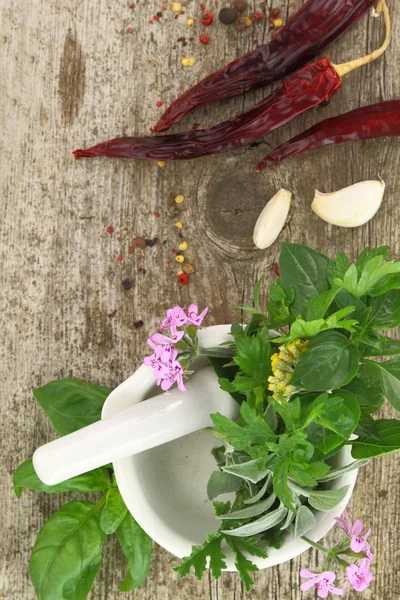 Mortier de porcelaine et pilon aux herbes fraîches sur fond vieux bois — Photo