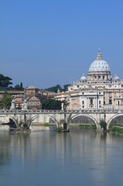 St. Peter's cathedral Roma, İtalya, görüntüleme