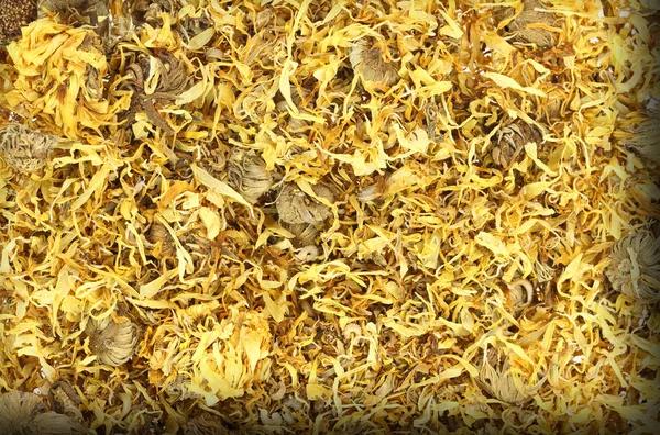 Close up of dried calendula — Stock Photo, Image