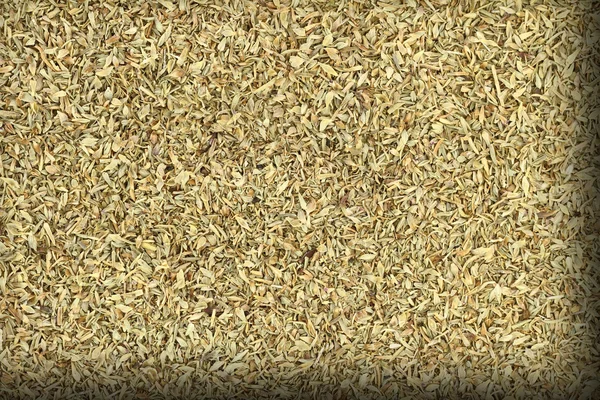Close up of dried thyme — Stock Photo, Image