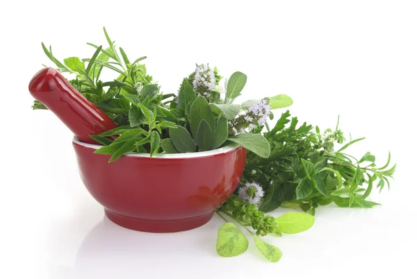 Red porcelain mortar and pestle with fresh herbs — Stock Photo, Image