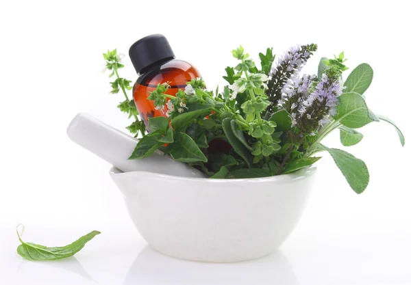Mortar and pestle with fresh herbs and essential oil bottle — Stock Photo, Image