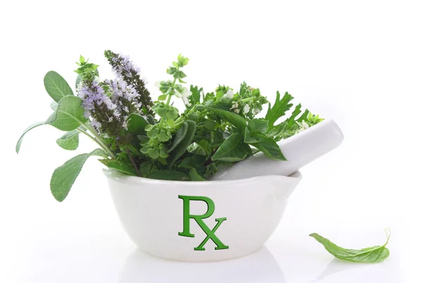 Porcelain mortar with rx symbol and fresh herbs — Stock Photo, Image