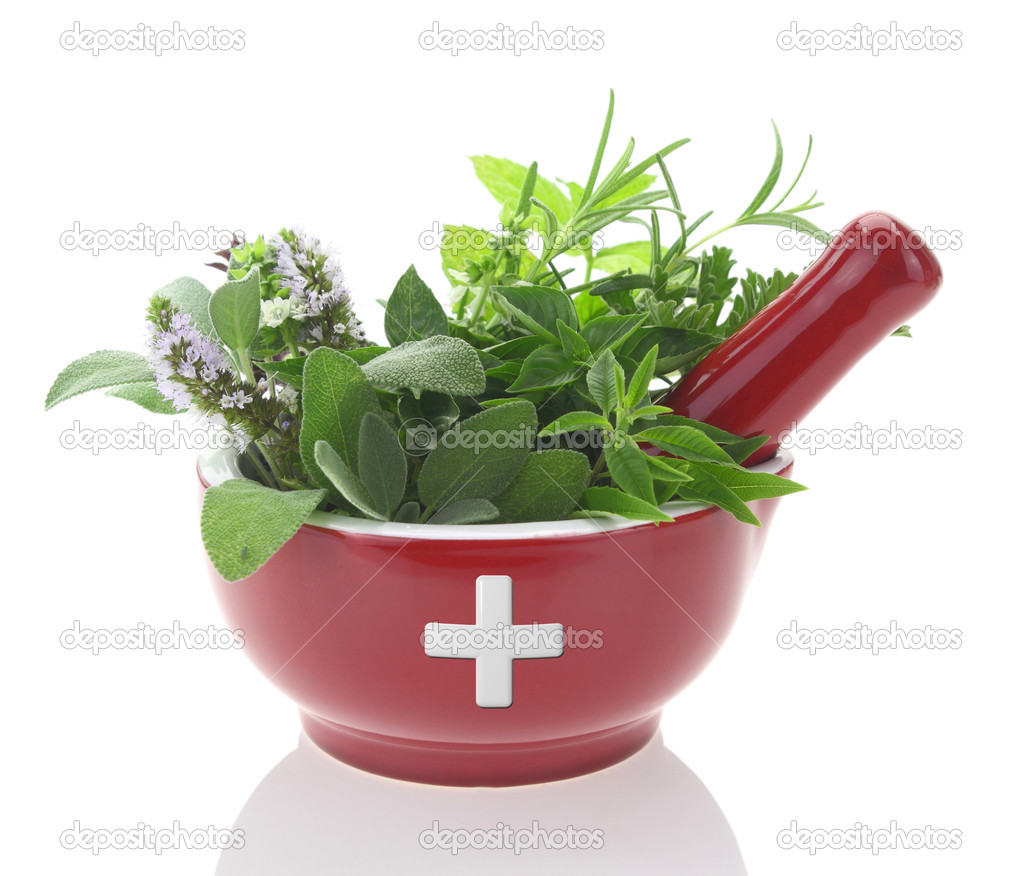 Porcelain mortar with medicine cross and fresh herbs