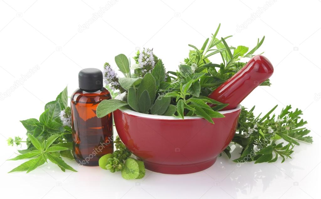 Mortar and pestle with fresh herbs and essential oil bottle