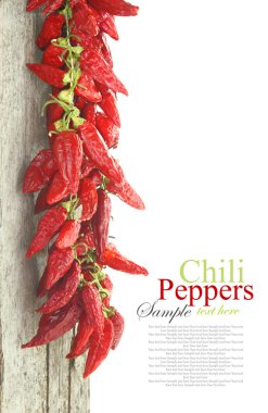 kırmızı sıcak chili peppers ağaç üzerinde asılı beyaz izole