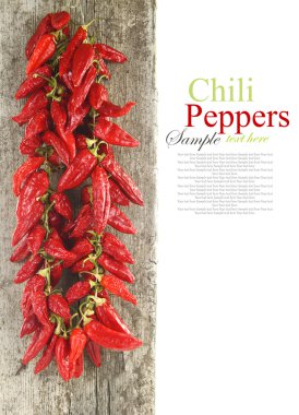 kırmızı sıcak chili peppers ağaç üzerinde asılı beyaz izole