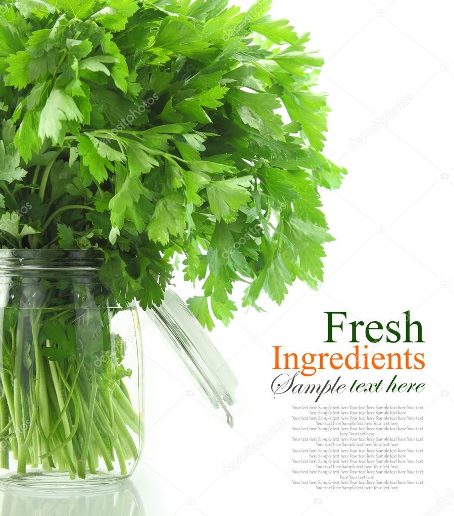 Bouquet of parsley in glass vase with water, isolated on white
