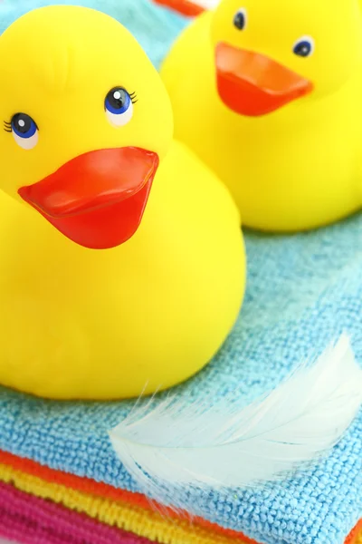 Žluté gumové kachny s ručníky a peří — Stock fotografie