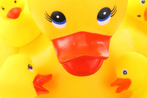 Yellow mother and children rubber ducks closeup — Stock Photo, Image