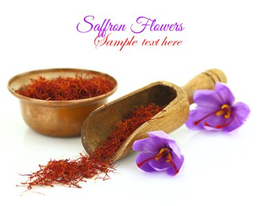 kurutulmuş safran baharat ve safran çiçeği üzerinde beyaz izole