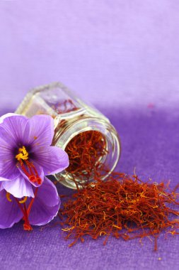 kurutulmuş safran baharat ve safran çiçeği
