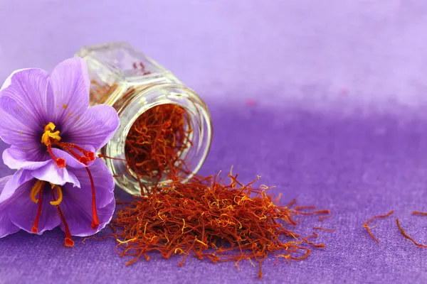 Dried saffron spice and Saffron flower — Stock Photo, Image