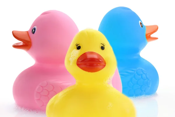 Três patos de borracha — Fotografia de Stock