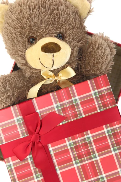 Present box with teddy bear inside — Stock Photo, Image