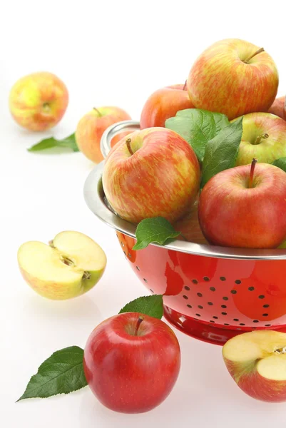 Apples in colander, isolated on white — Stock Photo, Image