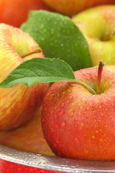 Apples with water drops close-up — Stock Photo, Image