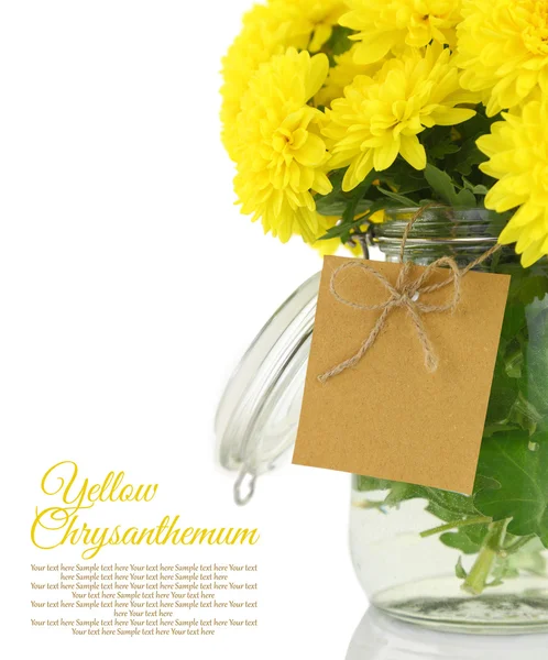 Gelbe Chrysantheme in der Vase — Stockfoto