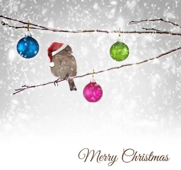 Christmas balls and sparrow bird with Santa Claus hat on snowy branch — Stock Photo, Image