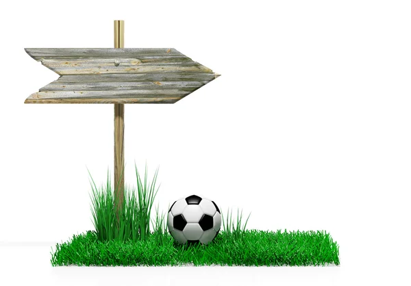 Wooden sign with soccer ball and grass, isolated on white — Stock Photo, Image