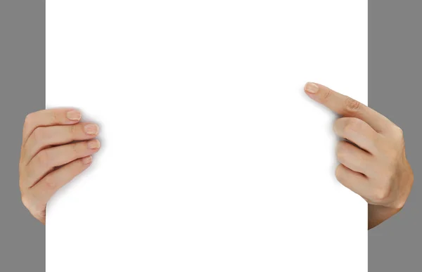 Mãos apontando em branco papel branco isolado sobre cinza — Fotografia de Stock