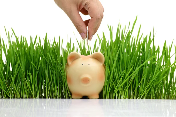 Hand deposit money in piggy bank with grass background — Stock Photo, Image