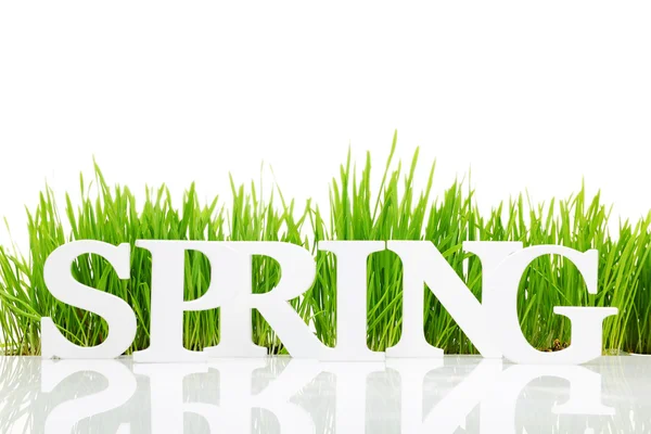 Palabra "Primavera" con hierba fresca aislada en blanco — Foto de Stock