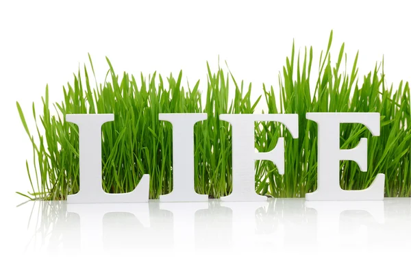 Parola "Vita" con erba fresca isolata sul bianco — Foto Stock