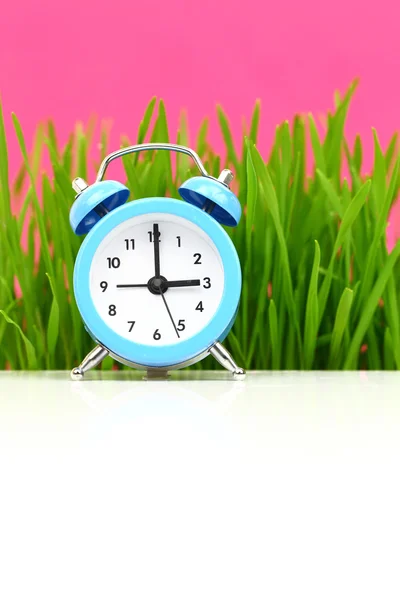 Klocka med gräs och rosa bakgrund, puberteten koncept — Stockfoto