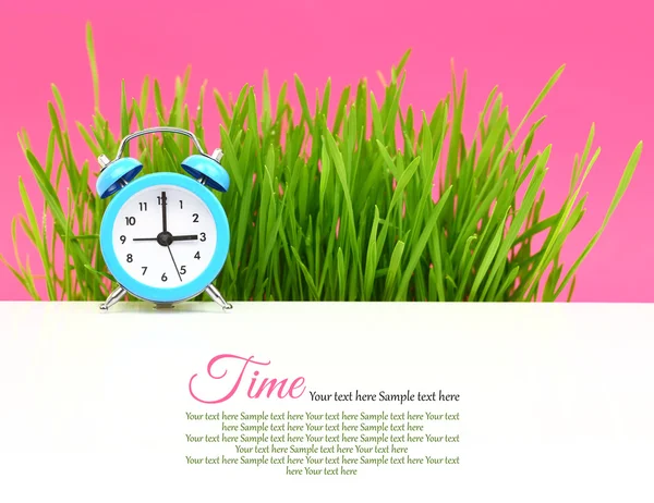 "Biologiczna koncepcja zegara z trawą i różowym tłem — Zdjęcie stockowe